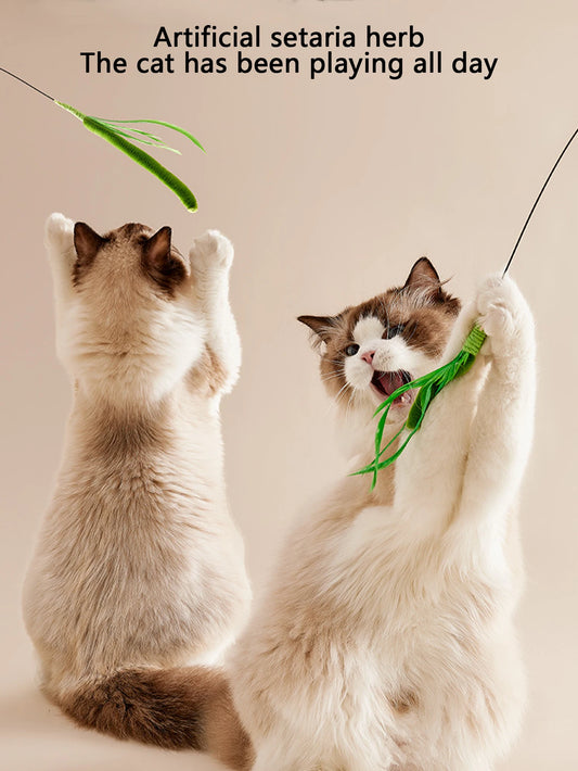 Kimpets Cat Teasing Stick with Feather Tail