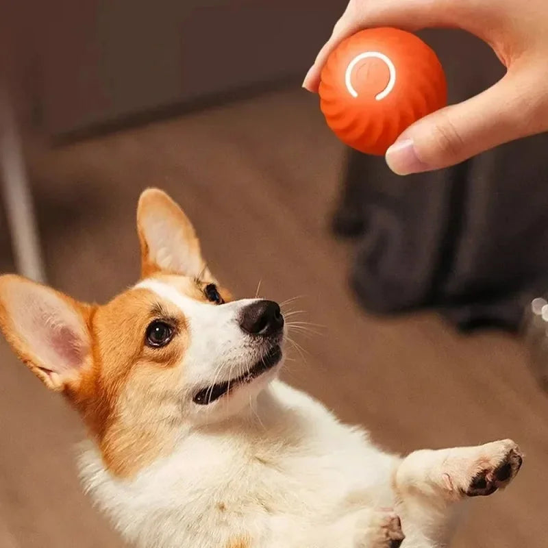 USB Cat Dog Chew Bounce Pet Smart Interactive Moving Ball Toy Ball Rolling Ball Pet Toy For Dogs Accessories Plush Toys Supplies
