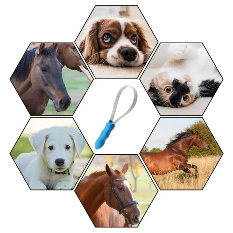 Pet Dog Sweat Scraper & Shedding Blade Brush